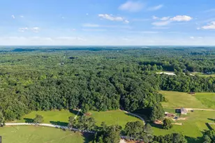 176 Murray Rd, Homer, GA 30547 - Photo 24