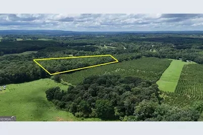 0 Stateline Road, Bowdon, GA 30108 - Photo 4