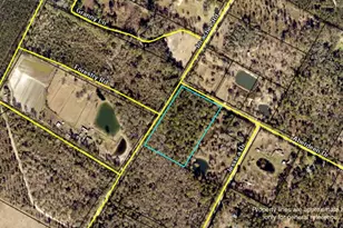 V/L 1 Aberdeen Dr, Waverly, GA 31565 - Photo 1