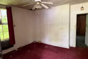 34 Texas Alley, Hawkinsville, GA 31036 - Photo 2
