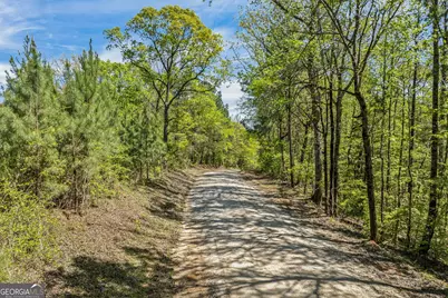 0 Liberty Hill Glenn Road, Lagrange, GA 30240 - Photo 2