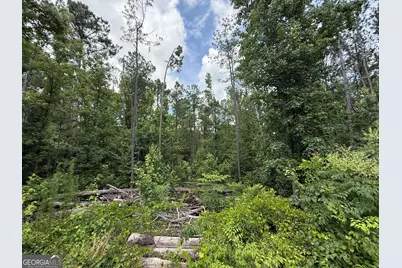 3879 E White Oak Road, Applin, GA 30802 - Photo 26