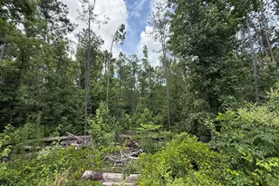 3879 E White Oak Rd, Applin, GA 30802 - Photo 26