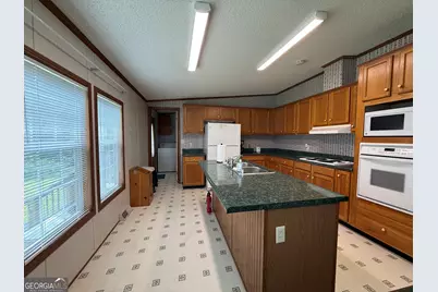 3879 E White Oak Road, Applin, GA 30802 - Photo 10
