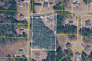 148 Marie Farms N Dr, Newnan, GA 30268 - Photo 58