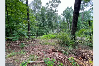 00 Shannon Drive, Dalton, GA 30720 - Photo 2
