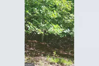 Lot 22 Meadow Brook Trail, Morganton, GA 30560 - Photo 8