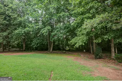 15 Pear Court, Sharpsburg, GA 30277 - Photo 38