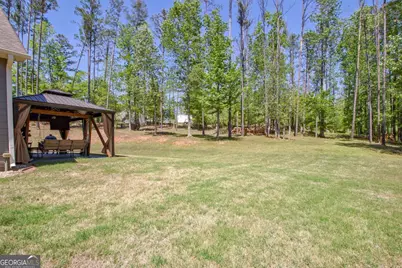 153 Carlow Court, Newnan, GA 30263 - Photo 46