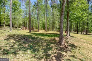 153 Carlow Ct, Newnan, GA 30263 - Photo 50