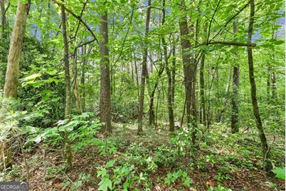 0 Sweetheart Lane, Sautee Nacoochee, GA 30571 - Photo 14