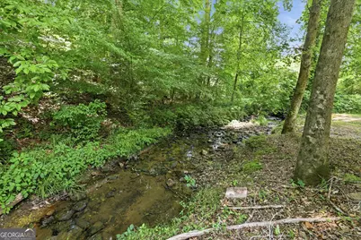579 Wesley Circle, Toccoa, GA 30577 - Photo 64
