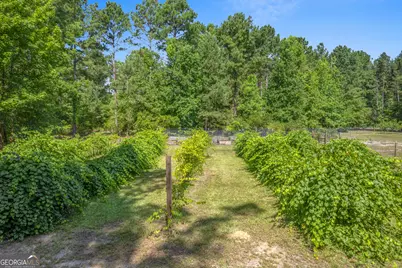 1269 Tarver Road, Davisboro, GA 31018 - Photo 20