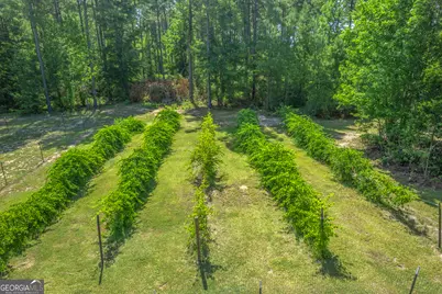 1269 Tarver Road, Davisboro, GA 31018 - Photo 18