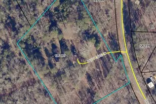 110 Pattycake Ln, Clarkesville, GA 30523 - Photo 18