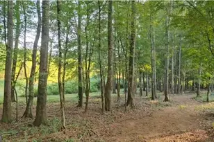 240 Victory Dashboard Rd, Bowdon, GA 30108 - Photo 10