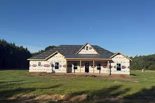 999 Darwel Long Road NE, Ludowici, GA 31316 - Photo 1