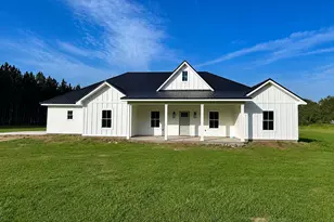 999 Darwel Long Road NE, Ludowici, GA 31316 - Photo 1