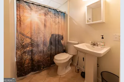 444 Miners Mountain Road, Sautee Nacoochee, GA 30571 - Photo 46