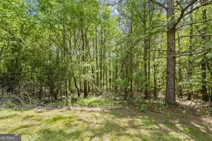 16160 Henderson Rd, Milton, GA 30004 - Photo 40
