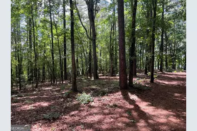 1603 Pullman Lane, Greensboro, GA 30642 - Photo 4