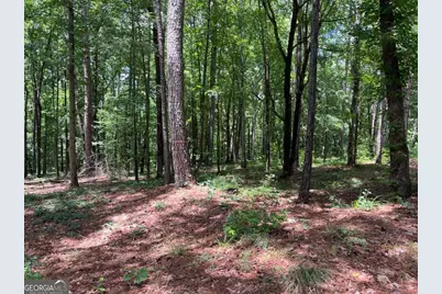 Lots 1 &amp; 2 Pullman Lane, Greensboro, GA 30642 - Photo 2