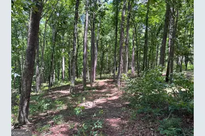 Lots 1 &amp; 2 Pullman Lane, Greensboro, GA 30642 - Photo 4