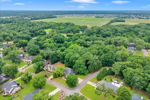 110 Governors Walk, Kathleen, GA 31047 - Photo 68