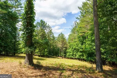 Lot 20 Loftis Mountain, Blairsville, GA 30512 - Photo 4
