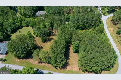 Lot 20 Loftis Mountain, Blairsville, GA 30512 - Photo 10