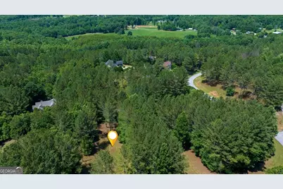 Lot 21 Loftis Mountain, Blairsville, GA 30512 - Photo 12