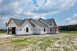 4421 Altamaha School Rd, Baxley, GA 31513 - Photo 1