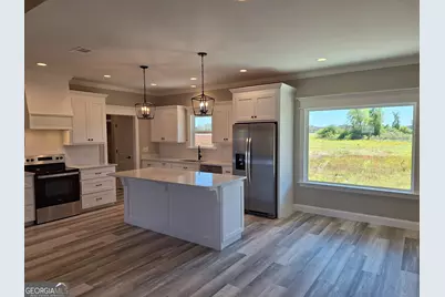 4421 Altamaha School Road, Baxley, GA 31513 - Photo 22