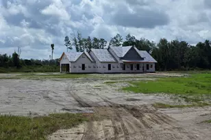 4421 Altamaha School Rd, Baxley, GA 31513 - Photo 2