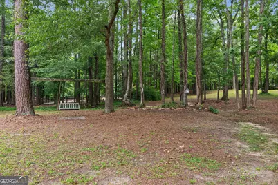 183 Goodwyn Road, Newnan, GA 30263 - Photo 50