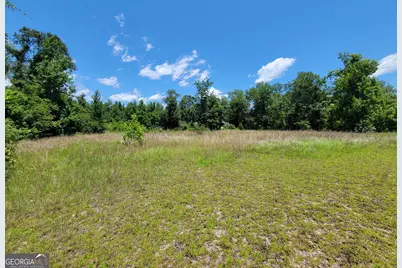267 Quail Ridge Drive, Adrian, GA 31002 - Photo 14