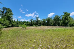267 Quail Rdg Dr, Adrian, GA 31002 - Photo 14