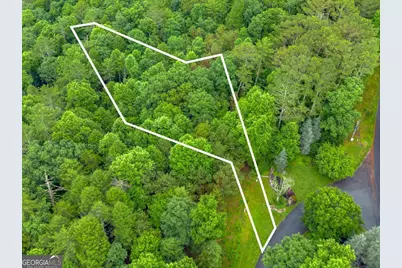 0 Roaring Forks Lane, East Ellijay, GA 30540 - Photo 12