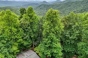 996 Crestview Dr, Otto, NC 28763 - Photo 68