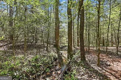 341 Brookwood Lane, Clarkesville, GA 30523 - Photo 86