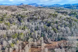 341 Brookwood Ln, Clarkesville, GA 30523 - Photo 80