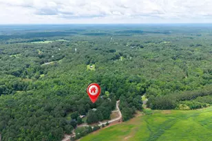 284 Poplar Creek Rd, Stephens, GA 30667 - Photo 60