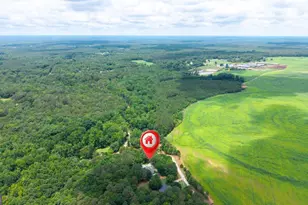 284 Poplar Creek Rd, Stephens, GA 30667 - Photo 58