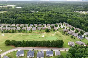 3256 Alhambra Cir, Hampton, GA 30228 - Photo 52