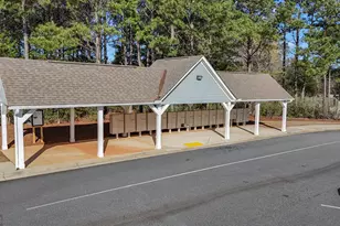 250 Cushing St, Senoia, GA 30276 - Photo 46