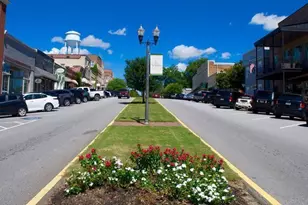 250 Cushing St, Senoia, GA 30276 - Photo 56