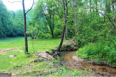 0 Highway 246, Dillard, GA 30537 - Photo 20