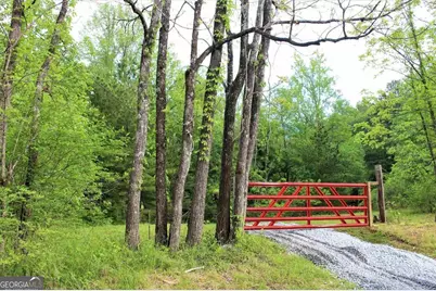 0 Highway 246, Dillard, GA 30537 - Photo 24