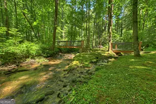 373 Barnes Creek Rd, Ellijay, GA 30540 - Photo 14