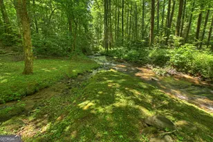 373 Barnes Creek Rd, Ellijay, GA 30540 - Photo 20